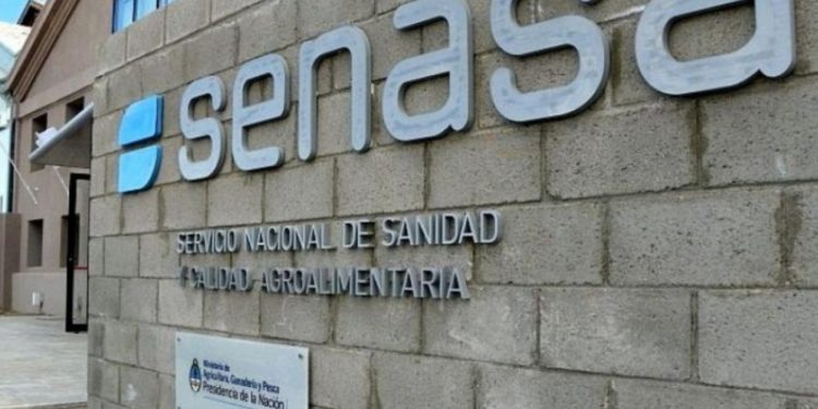 Cuando los Carlos vienen marchando: La conducción del Senasa quedaría para una dupla ligada al poder santacruceño