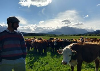 El stock bovino comenzará a calcularse el 31 de diciembre de cada año y se difundirá en abril