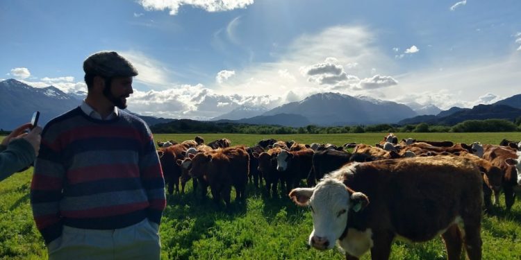 El stock bovino comenzará a calcularse el 31 de diciembre de cada año y se difundirá en abril
