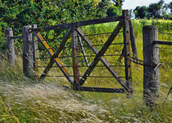 Una radiografía de la "rica" región pampeana: La caída de productores ha sido más intensa que en el resto del país