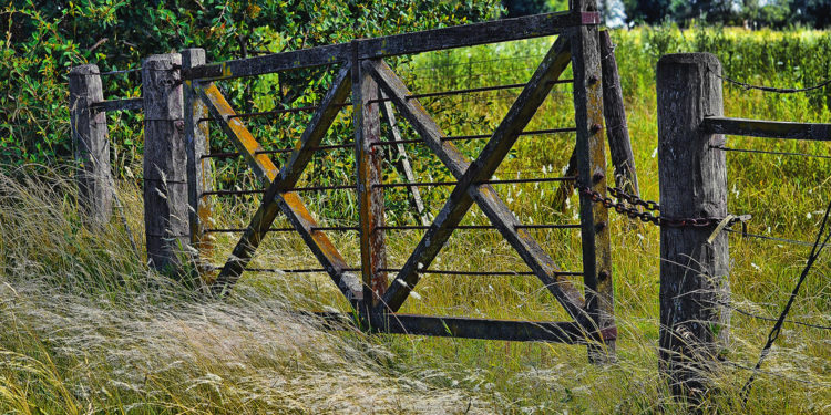 Una radiografía de la "rica" región pampeana: La caída de productores ha sido más intensa que en el resto del país