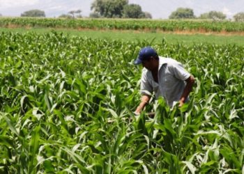 A días del cambio de gobierno, el 61% de los productores espera "malos tiempos" para los próximos años