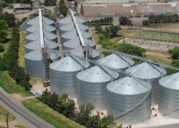 La aceitera Vicentín entró en zona gris: Suspendió algunos pagos y busca refinanciar una deuda multimillonaria con los bancos