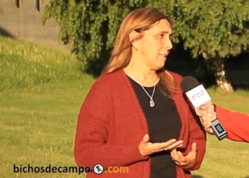 Resultados de la ganadería regenerativa en Chubut: "Empezaron a aparecer especies forrajeras que ni sabíamos que estaban", dice Gabriela Degorgue