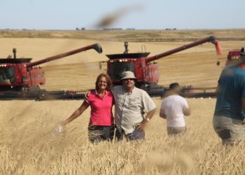 Por las retenciones, Guillermo Irastorza empezará a sembrar año por medio y demuestra que es más rendidor