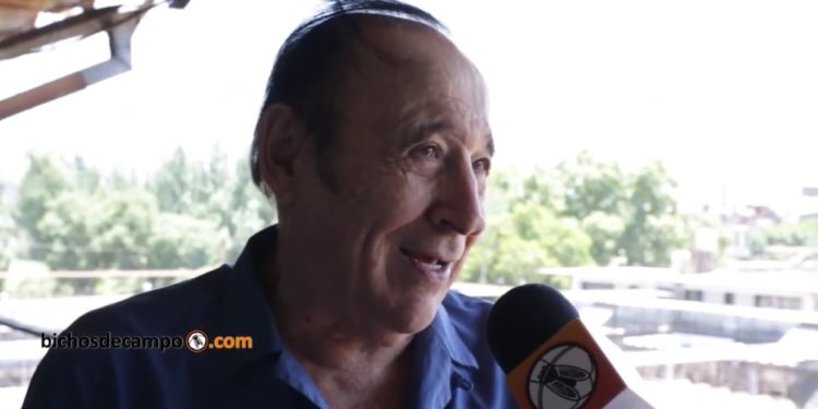 Fue abastecedor, matarife, productor, consignatario y hasta tuvo frigorífico: Miguel Ángel Fabricio pasó por todas y se quedó con lo que más le gusta