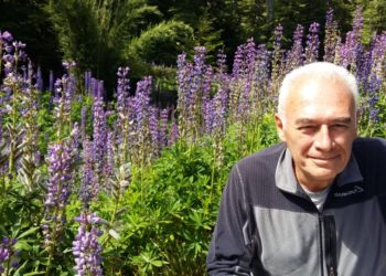 José María Panero: En la crisis de Vicentín o BLD "los productores no decidieron nada y lo peor es que pusieron su mercadería para financiar la fiesta"