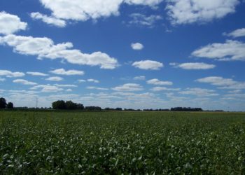 Clima: "Se viene una segunda quincena más hostil, pero en febrero vuelven las lluvias", dice Germán Heinzenknecht