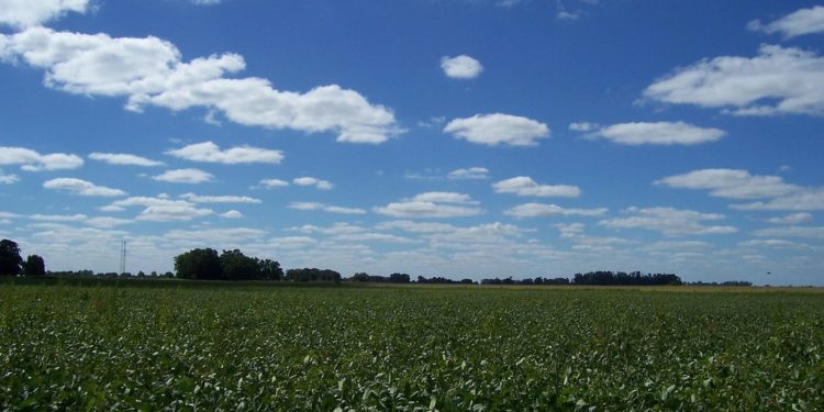 Clima: "Se viene una segunda quincena más hostil, pero en febrero vuelven las lluvias", dice Germán Heinzenknecht
