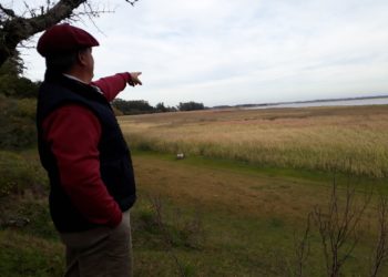 Nahuel Ruca: La estancia de Mar Chiquita que combina la ganadería sobre pastos nativos con el avistaje de aves