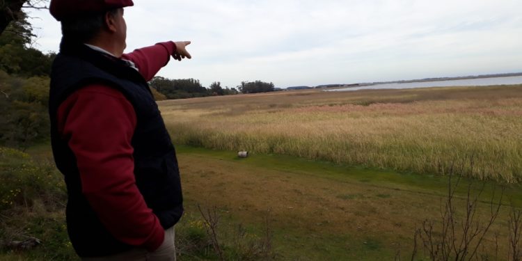 Nahuel Ruca: La estancia de Mar Chiquita que combina la ganadería sobre pastos nativos con el avistaje de aves