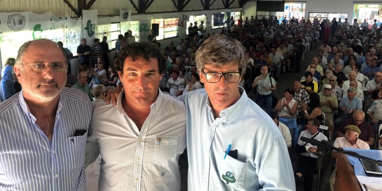 El agro esperará una respuesta de Alberto hasta el 31 de enero