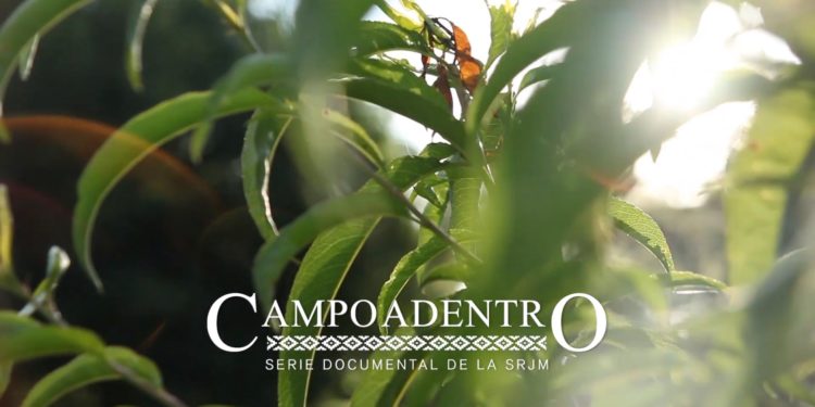 En la Rural de Jesús María lanzaron un documental para contar las cosas de "Campo Adentro"