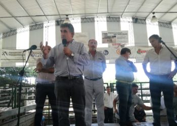 Los federados ya se empezaron a poner nerviosos: ¿Y la famosa segmentación para cuándo?