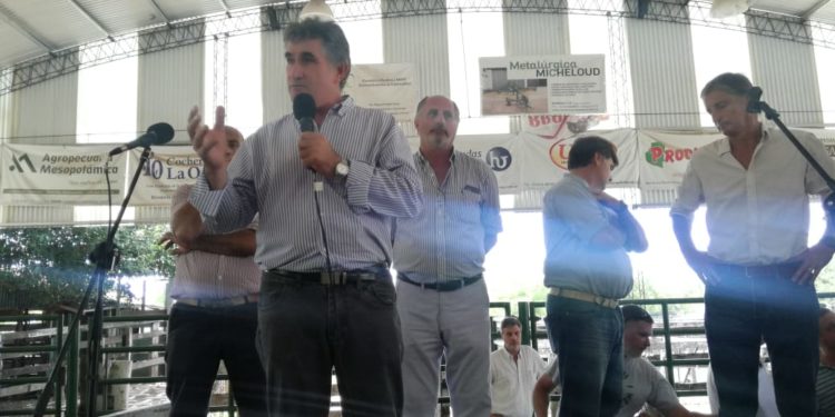 Los federados ya se empezaron a poner nerviosos: ¿Y la famosa segmentación para cuándo?