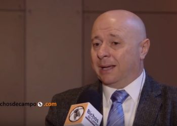 Daniel Urcía pide meditar bien la política de carnes: "No se puede tirar con escopeta; tenemos que tirar con mira telescópica"