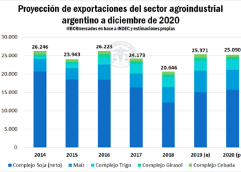 La de Alberto no será cosecha récord, pero tampoco tendrá razones para quejarse: Esperan divisas por 26.330 millones