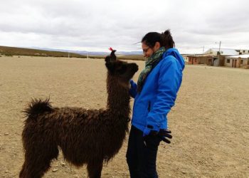 Graciela Gallo, especialista en turismo rural, tiene un consejo para los emprendedores: "La clave es tender puentes"
