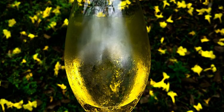 Fernando Brys produce hidromiel en Misiones: “Creamos un modelo nuevo para áreas tropicales y subtropicales”