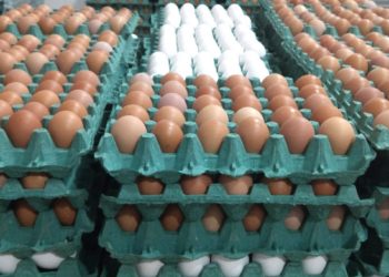 En 2019 hubo que poner mucho más huevo: Hubo récord de producción y el consumo de ese alimento creció 5%