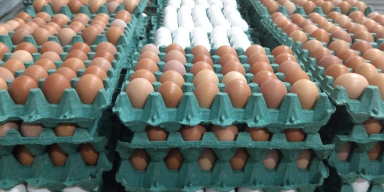 En 2019 hubo que poner mucho más huevo: Hubo récord de producción y el consumo de ese alimento creció 5%