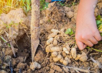 Piden que se establezca un tope de 5% para las retenciones de "todas" las economías regionales