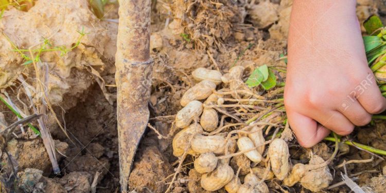 Piden que se establezca un tope de 5% para las retenciones de "todas" las economías regionales