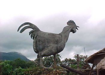 En 2019 la producción de carne de pollo volvió a crecer y superó por primera vez las 2,2 millones de toneladas