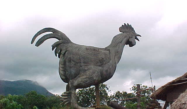 En 2019 la producción de carne de pollo volvió a crecer y superó por primera vez las 2,2 millones de toneladas