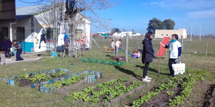 Los productos "agroecológicos" pudieron hacerse un lugarcito en el Plan Argentina contra el Hambre