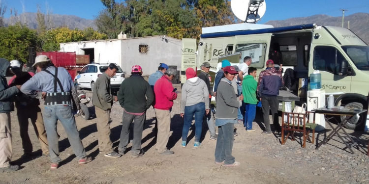 ¿Cuántos trabajadores registrados existen en el sector agropecuario?