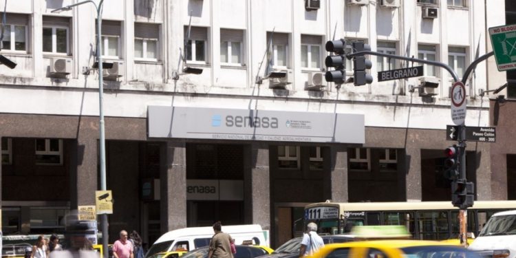 Durante 12 años, una "agrónoma sin título" evaluó los fertilizantes que querían registrarse en el Senasa