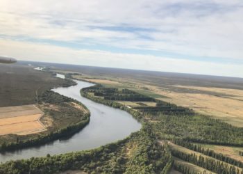El sueño cumplido de Magalí: Tocar los 15 mil kilos de trigo en campos bajo riego en la Patagonia