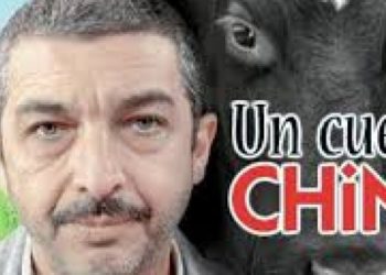 Un cuento chino: En 2019 se exportó un récord de carne y eso llevó la faena a los mejores niveles en una década