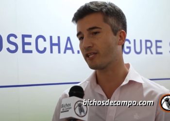 Advertencia de la Bolsa de Cereales: Más de la mitad del maíz sembrado podría no llegar a cubrir los costos del productor