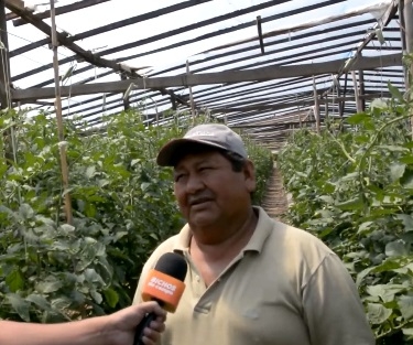 Juan Carlos Varas tuvo que abandonar 1,5 hectáreas de cebolla por falta de agua para riego: “Ahí, la tengo, llena de yuyos”