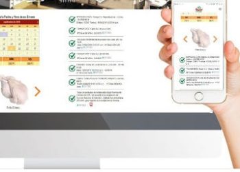 El origen del pollo: Una avícola entrerriana ya ofrece trazabilidad escaneando un código con los celulares