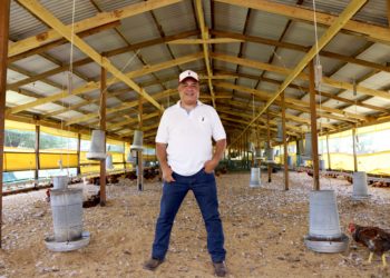 Darío Ortiz no sabía nada sobre pollos, pero montó la primera granja orgánica certificada del país