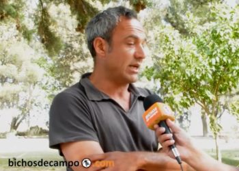 El consorcio de productores reclama que el Estado haga obras para resolver la crisis hídrica en el Valle bonaerense del Río Colorado