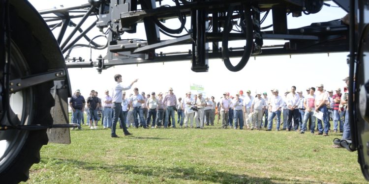 Errores que cuestan caro: Cuáles son los principales descuidos en las labores agrícolas, que luego deprimen el rinde