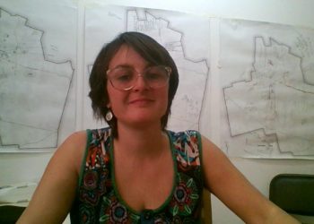 Los biocombustibles también comienzan a ser cuestionados, al punto que una investigadora del Conicet propone quitarles el prefijo “bio”