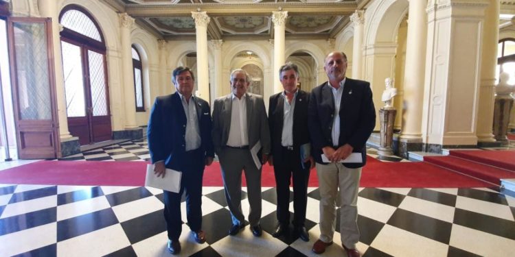 Que sí, que no: La Mesa de Enlace decide si realiza un paro agropecuario, que sería el primero contra Alberto Fernández