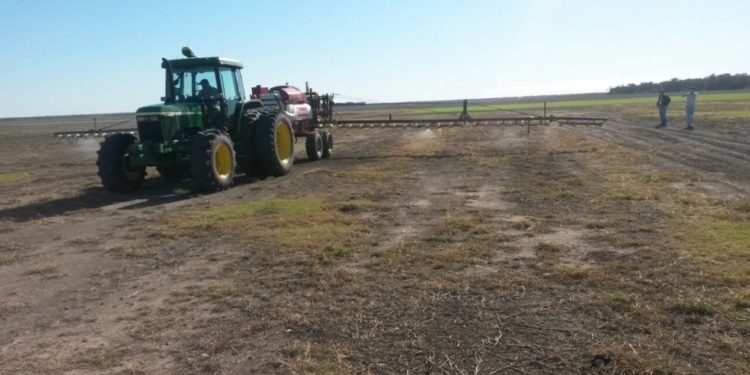 Debate por los agroquímicos en La Pampa: El veterano periodista Esteban Ocerín advierte sobre “la presión de los grupos ambientalistas”