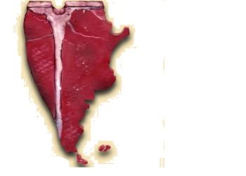 La revancha del consumo: Suben los precios de la hacienda que consumen los argentinos, mientras bajan los de la vaca que se exporta a China