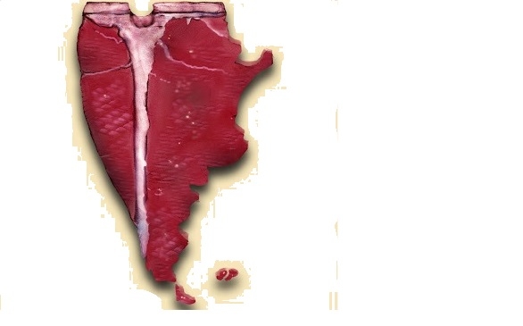 La revancha del consumo: Suben los precios de la hacienda que consumen los argentinos, mientras bajan los de la vaca que se exporta a China