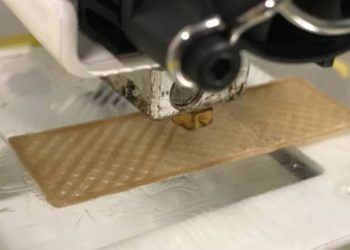 El bagazo de la caña y el aserrín se piensan como insumos para la fabricación de bioplástico