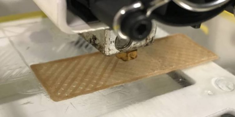 El bagazo de la caña y el aserrín se piensan como insumos para la fabricación de bioplástico