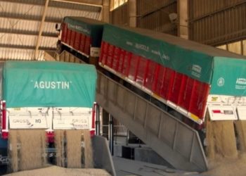 Diseñan un software que advierte sobre límites máximos de agroquímicos en los cargamentos de granos