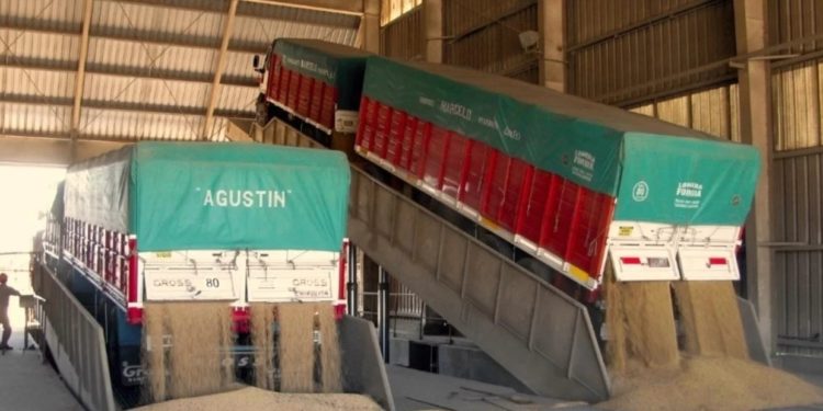 Diseñan un software que advierte sobre límites máximos de agroquímicos en los cargamentos de granos