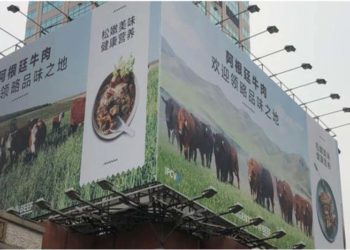 Del cielo al purgatorio: Los exportadores de carne temen por 1.200 contenedores que no se pueden descargar en China